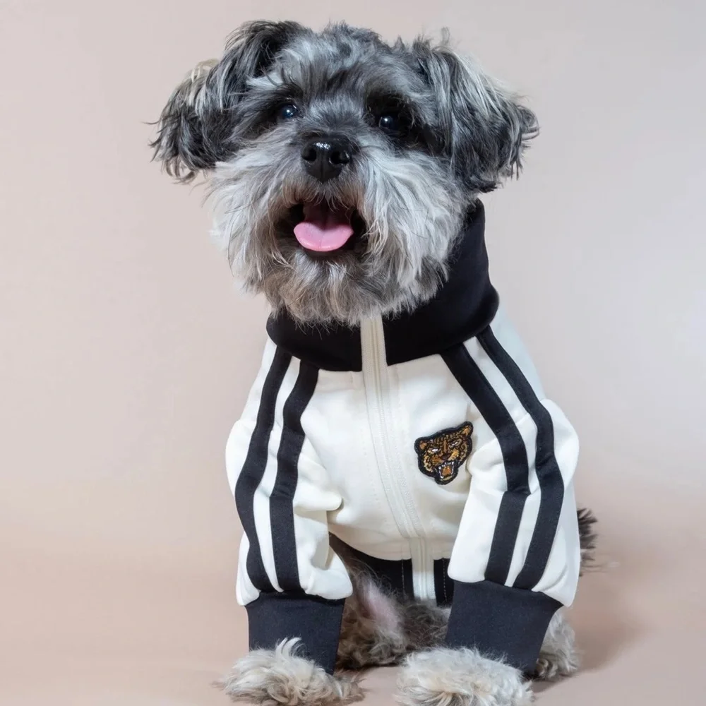 Free People xFURB Stylish Black and White Dog Jacket Size Small New